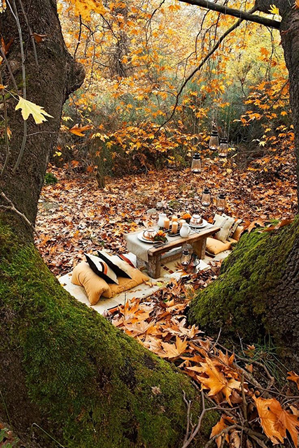 пикник в лесу осенью, осенний пикник, теплая осень, осенний лес, осень, осеннее настроение