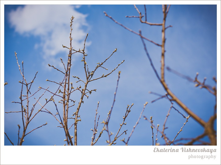 dacha_otdyh_fotograf Ekaterina Vishnevskaya