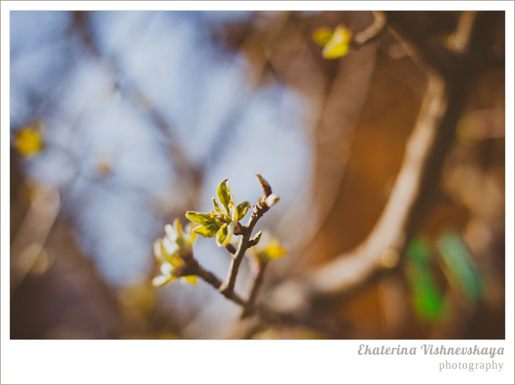 dacha_otdyh_fotograf Ekaterina Vishnevskaya